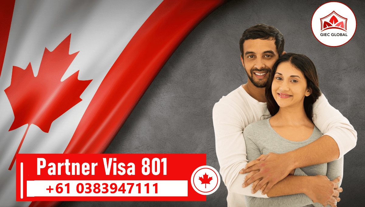 partner 801 visa